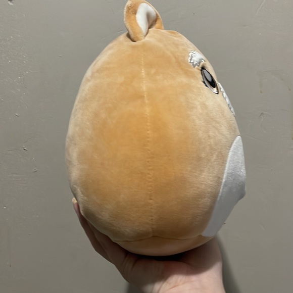 Selling Chloeyana squishmallow - Picture 3 of 4